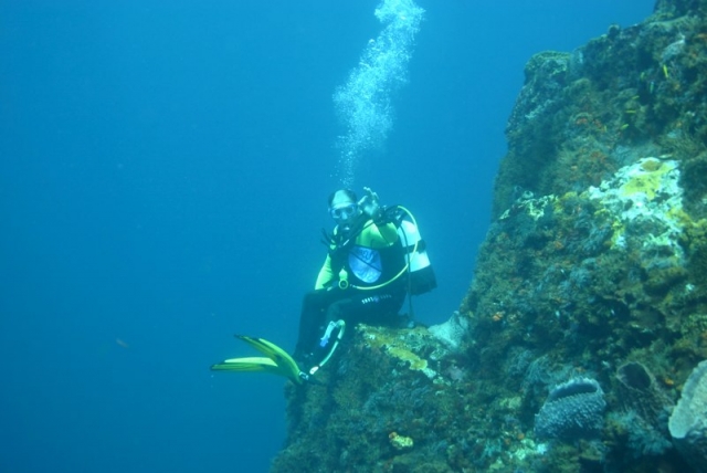 Descubriendo el mundo submarino 